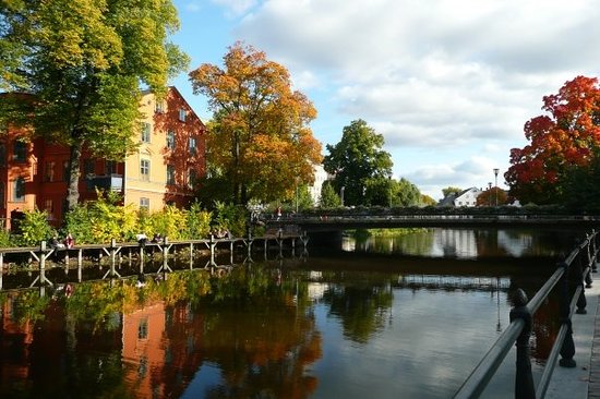 autumn-in-uppsala